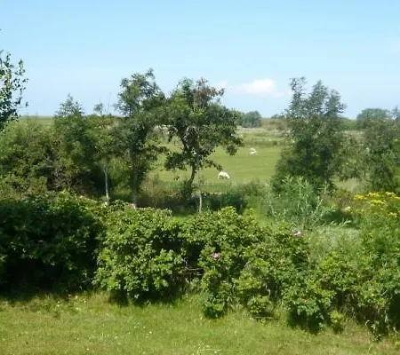 Haus-tholendorf-sonne-satt-natur-pur Tating